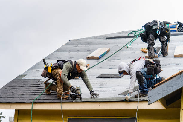 Professional Storm Damage Roof Repair technician working in Clearfield, IA
